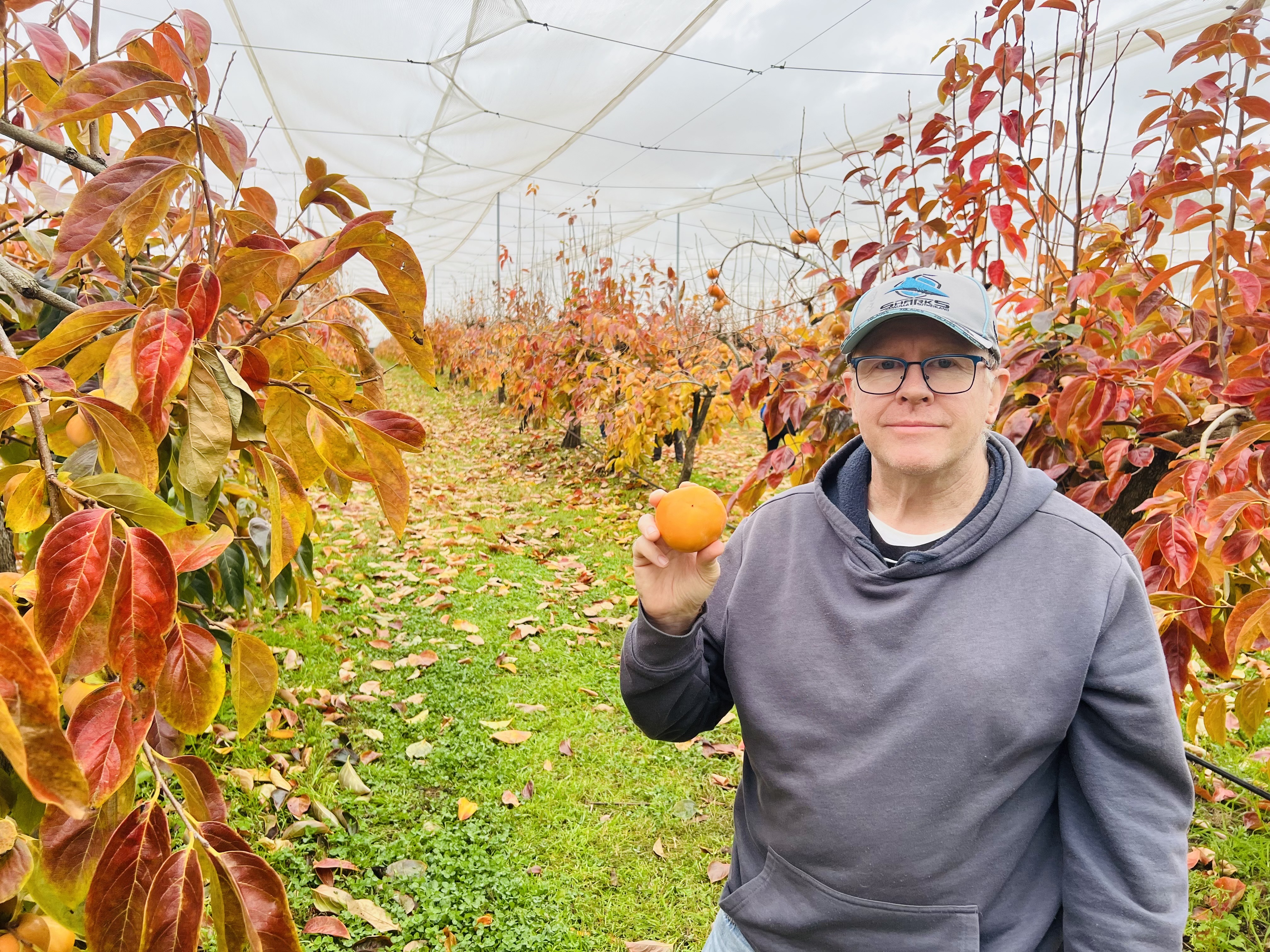 Fruit cultivate destination view 1