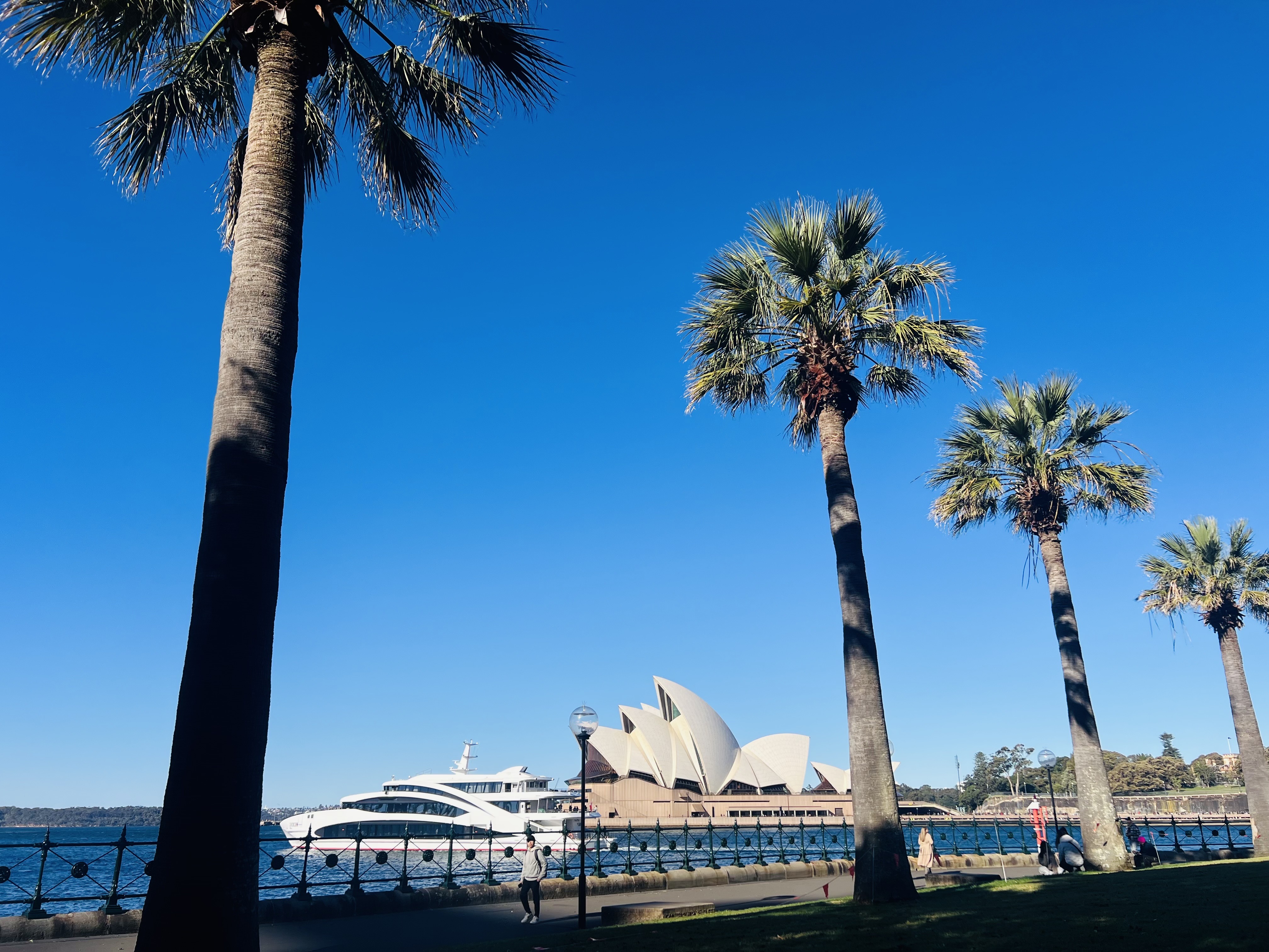 CBD tour 3