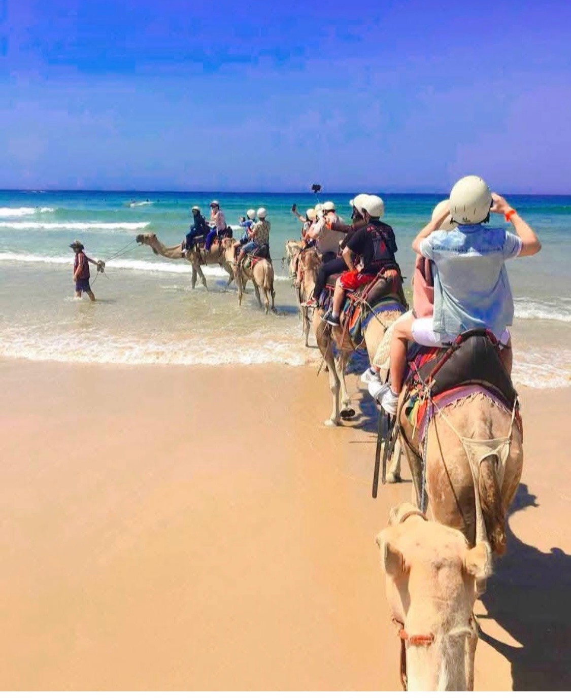 Camel riding at sand dunes